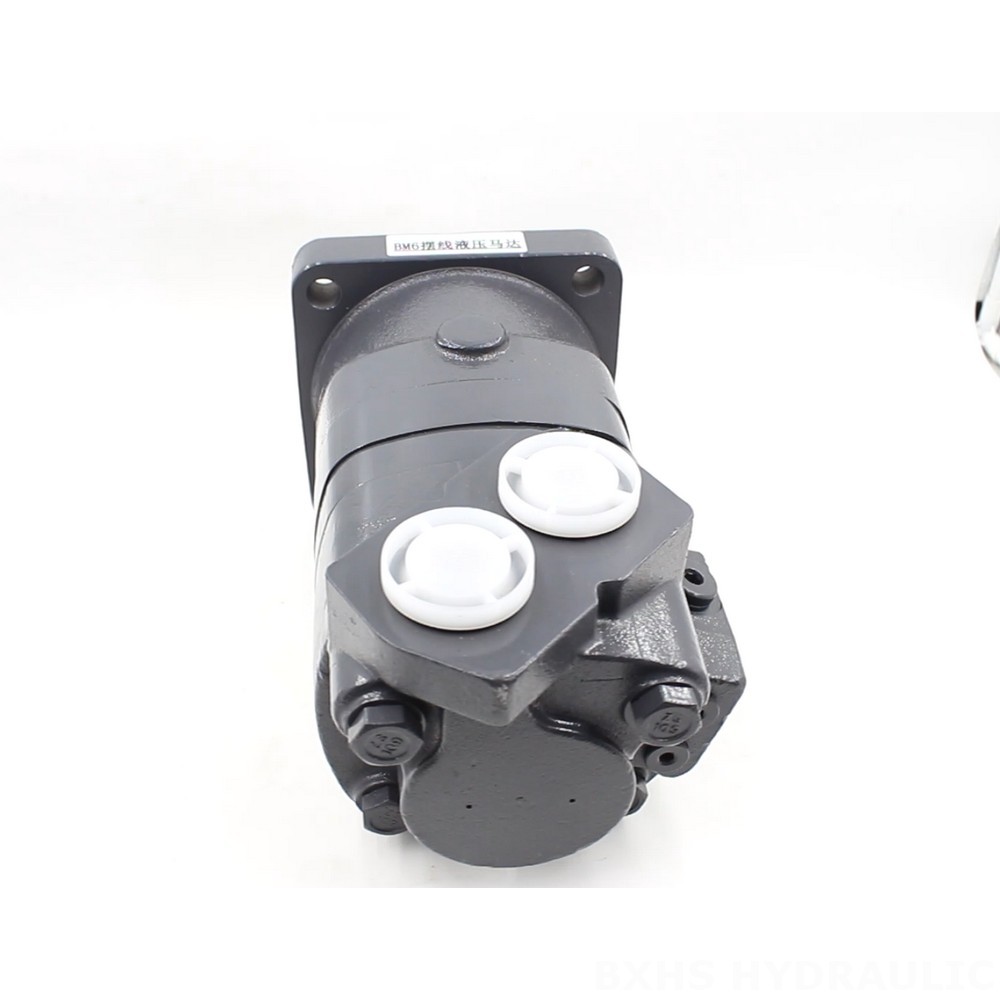 BM6 Cycloid Hydraulic Motor 195 cc/r 150 Lpm - Factory Direct Supply image